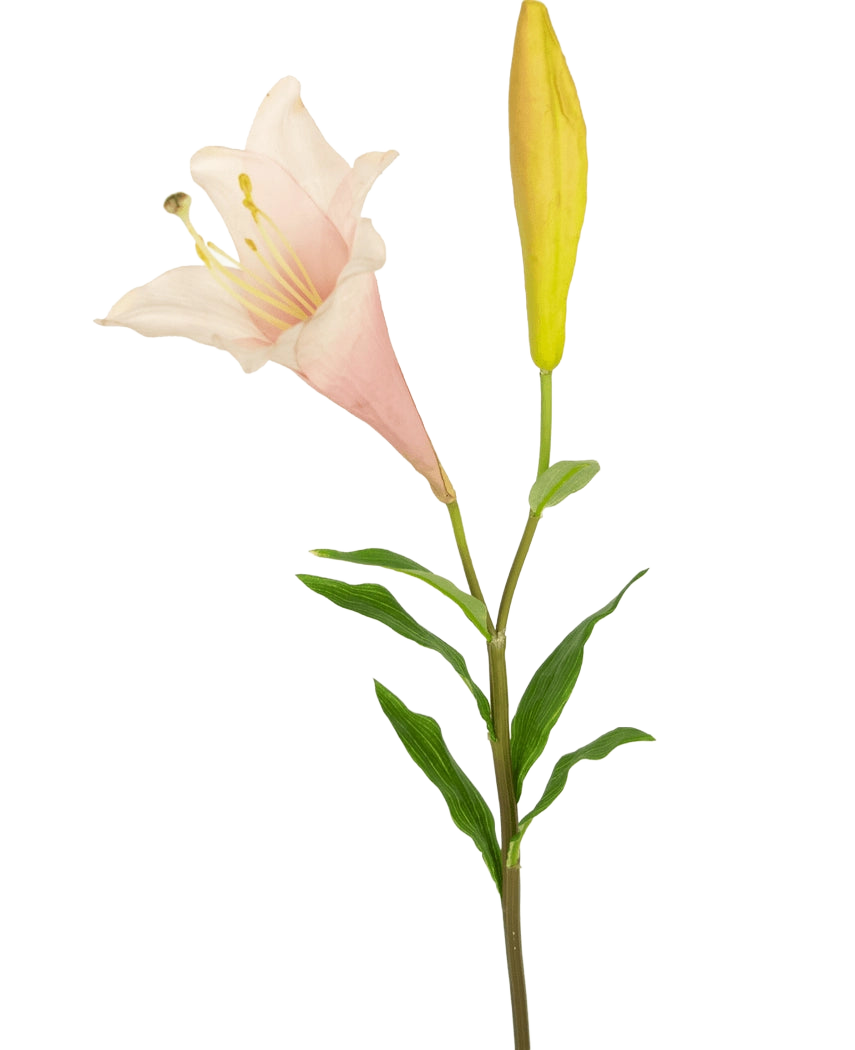 La Fleur artificielle lys exotique 74 cm rose a une tige unique avec un lys rose clair en fleurs et un bouton jaune fermé, entouré de fines feuilles vertes, sur un fond blanc.