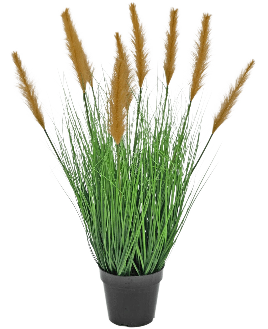 Le gazon artificiel d'autruche 80 cm ignifuge possède de longues et fines lames vertes et de hautes plumes brunes dans un pot noir, sur un fond blanc - idéal pour les amateurs de plantes artificielles.