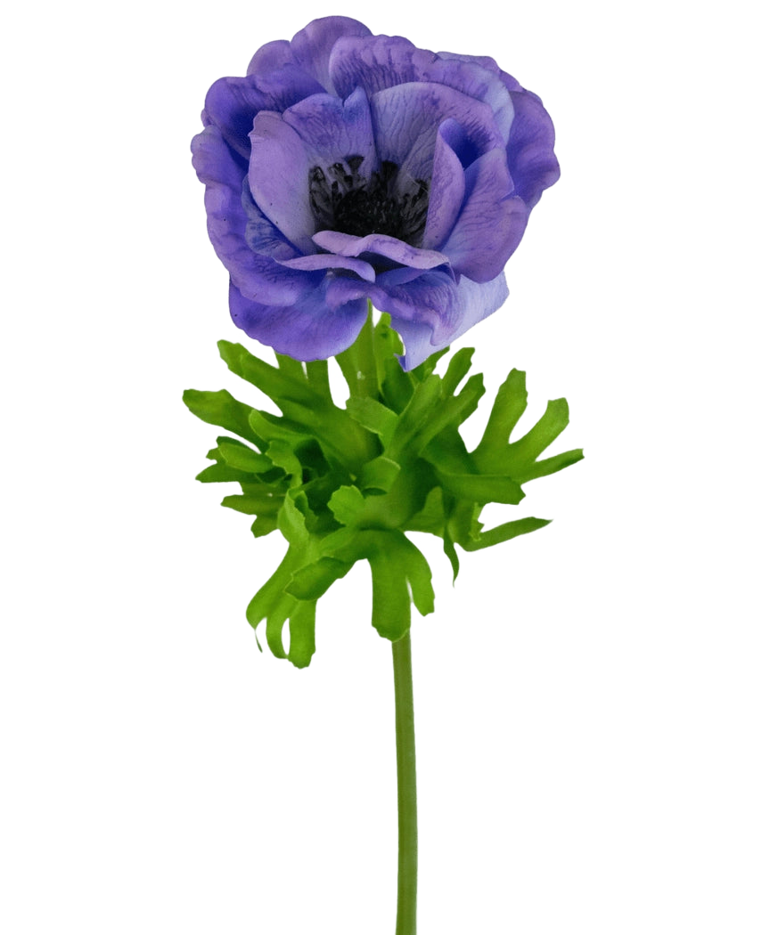 L'Anémone Artificielle Real Touch Bleu Violet 52 cm possède une anémone bleu-violet monocouche avec un cœur sombre sur une tige verte et des feuilles profondément lobées, sur un fond blanc.