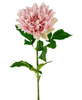 Le Kunst Georgine Real Touch rose clair 70 cm est un simple dahlia rose clair avec des pétales superposés et des feuilles vertes sur une longue tige, sur un fond blanc uni.