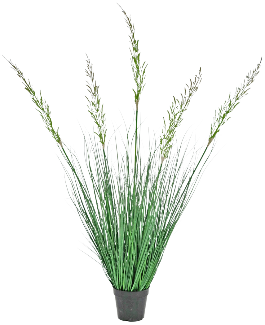 Le Gazon Artificiel Blé 120 cm ignifuge en pot possède des feuilles hautes et dressées et des tiges fleuries, ce qui le rend idéal pour un intérieur verdoyant. Cette plante sans entretien ajoute une verdure élégante sur un fond blanc.