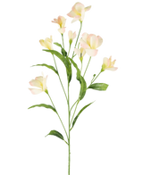 Le rhododendron artificiel azalée Real Touch crème/rose 80 cm a une seule tige verte avec des feuilles ramifiées et minces et de délicates fleurs rose crème, magnifiques sur un fond blanc uni.