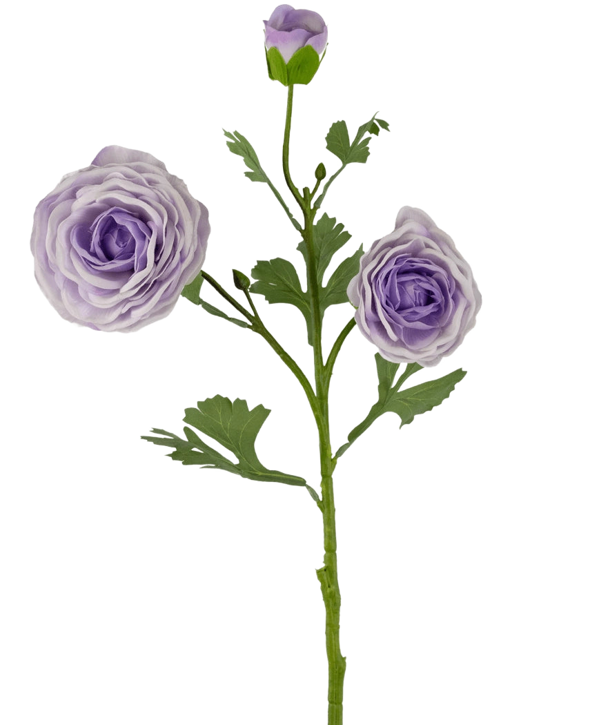 La Rose Artificielle "Emine" Real Touch Violet 62 cm a une tige verte avec deux renoncules ouvertes violet clair et un bourgeon violet, ainsi que plusieurs feuilles vertes, le tout sur un fond blanc uni.