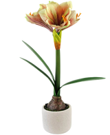 La fleur artificielle Amaryllis Real Touch Rouge/Jaune 48 cm a des feuilles vertes réalistes et une haute tige avec des fleurs rouges et jaunes en forme de trompette, joliment présentées sur un fond blanc.
