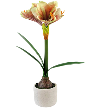 La fleur artificielle Amaryllis Real Touch Rouge/Jaune 48 cm a des feuilles vertes réalistes et une haute tige avec des fleurs rouges et jaunes en forme de trompette, joliment présentées sur un fond blanc.