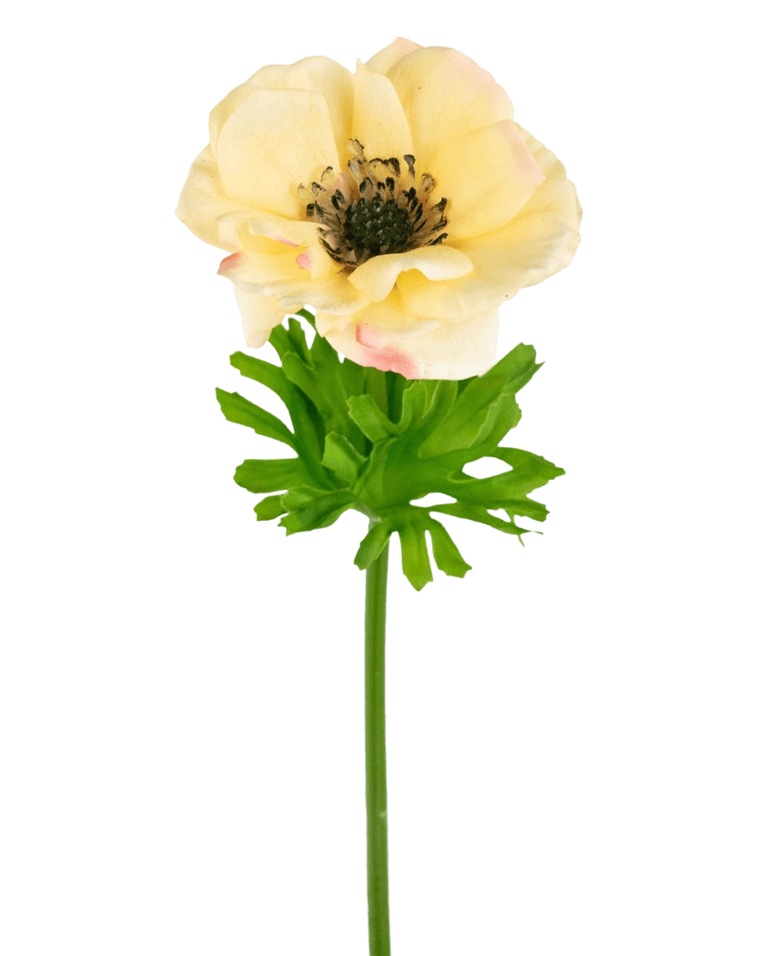 L'Anémone Artificielle Real Touch jaune 52 cm est une anémone artificielle réaliste avec une fleur jaune clair, un cœur foncé, des feuilles vert clair profondément lobées et une longue tige verte, parfaite pour la décoration et sur un fond blanc.