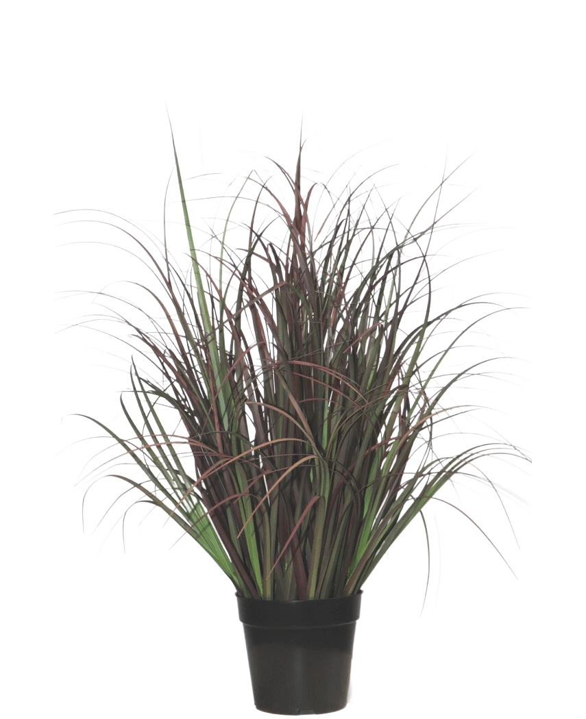 Le gazon artificiel Wild Lawn de 70 cm, ignifuge, a des feuilles étroites vert foncé et rouge-violet dans un pot noir - parfait comme plante sans entretien pour n'importe quel intérieur.