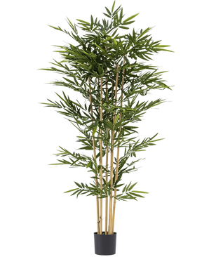La Plante Artificielle Bambou 210 cm est un grand bambou artificiel avec de fines feuilles vertes et plusieurs tiges jaunes, dans un petit pot noir sur fond blanc.