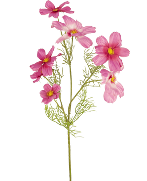 Une seule fleur artificielle Cosmos fuchsia de 74 cm avec des feuilles délicates et plumeuses et de multiples fleurs fuchsia au centre jaune est présentée sur un fond blanc uni.