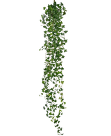 La plante suspendue artificielle Lierre deluxe 180 cm vert est un long lierre artificiel avec de nombreuses petites feuilles vertes, suspendues verticalement sur un fond blanc uni.
