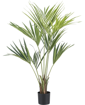 La plante artificielle Kentia Palm 120 cm possède de longues feuilles vertes et fines et se présente dans un petit pot noir, sur un fond blanc uni.