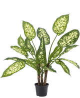La plante artificielle Dieffenbachia de 40 cm, avec ses feuilles vertes luxuriantes et ses taches jaune-blanc clair, se dresse élégamment dans des pots décoratifs élégants sur un fond blanc uni.