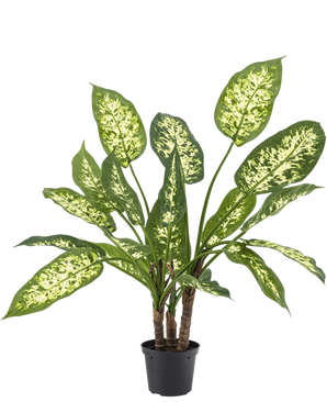 La plante artificielle Dieffenbachia de 40 cm, avec ses feuilles vertes luxuriantes et ses taches jaune-blanc clair, se dresse élégamment dans des pots décoratifs élégants sur un fond blanc uni.