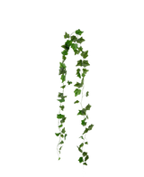 La guirlande de lierre artificiel 180 cm vert est composée de feuilles de lierre vertes pointues qui pendent en deux brins sur un fond blanc uni.