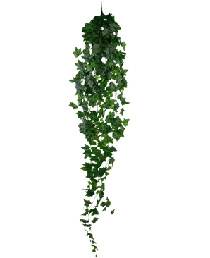 Le Lierre Artificiel 180 cm vert est un lierre vert artificiel unique avec des feuilles denses et pointues qui pendent verticalement sur un fond blanc uni.