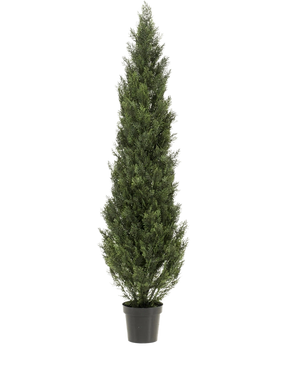 La Plante Artificielle Conifère UV 180 cm est une plante verte artificielle à feuilles persistantes, haute et étroite, avec des feuilles vertes denses dans un pot en plastique noir, sur un fond blanc uni.