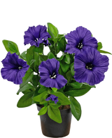 Une plante de pétunia artificielle UV de 25 cm de couleur violette avec des feuilles vertes luxuriantes, présentée dans un pot sur un fond blanc uni.