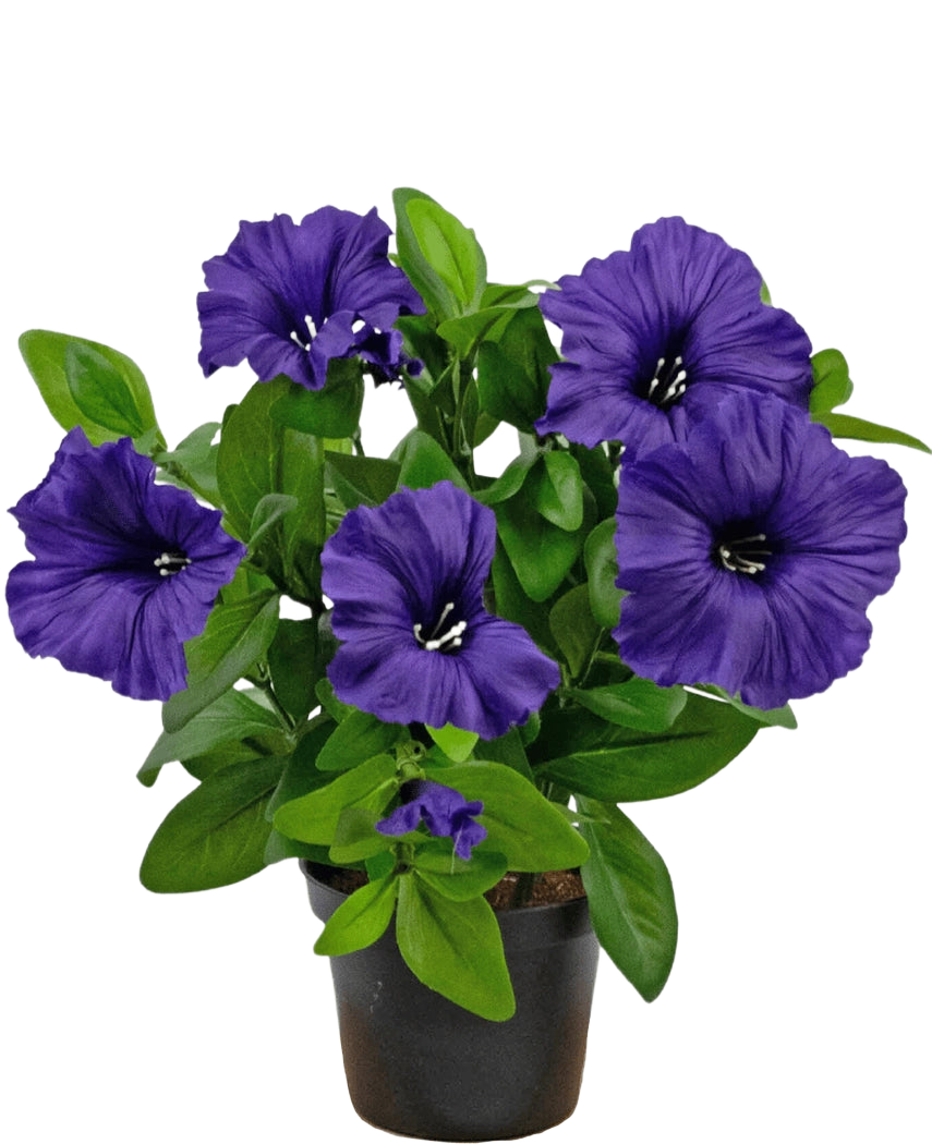 Une plante de pétunia artificielle UV de 25 cm de couleur violette avec des feuilles vertes luxuriantes, présentée dans un pot sur un fond blanc uni.