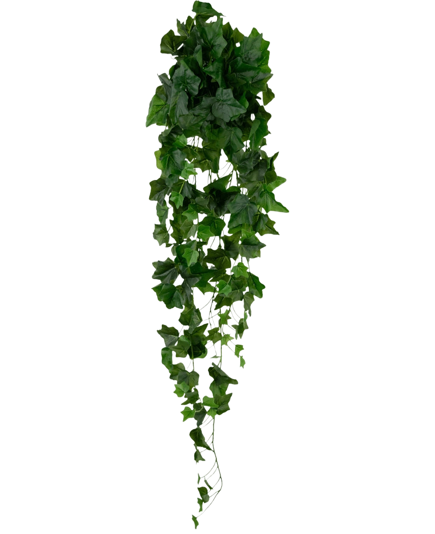 Le lierre artificiel vert de 105 cm a des feuilles vertes denses qui tombent, créant un effet de lierre luxuriant sur un fond blanc uni.