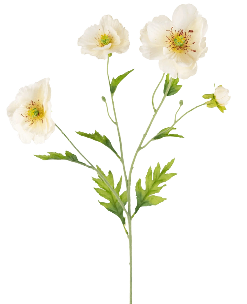 Une illustration botanique de l'Art Poppy Real Touch Crème/Jaune 65 cm montre une tige verte avec de délicates fleurs de pavot crème et jaune et des feuilles vertes luxuriantes sur un fond clair uni.