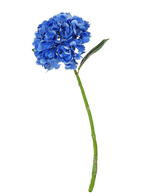 La Fleur Artificielle Hortensia Charlotte Real Touch bleu foncé est un hortensia artificiel bleu unique avec tige et feuilles vertes, de 55 cm de haut, isolé sur fond blanc.