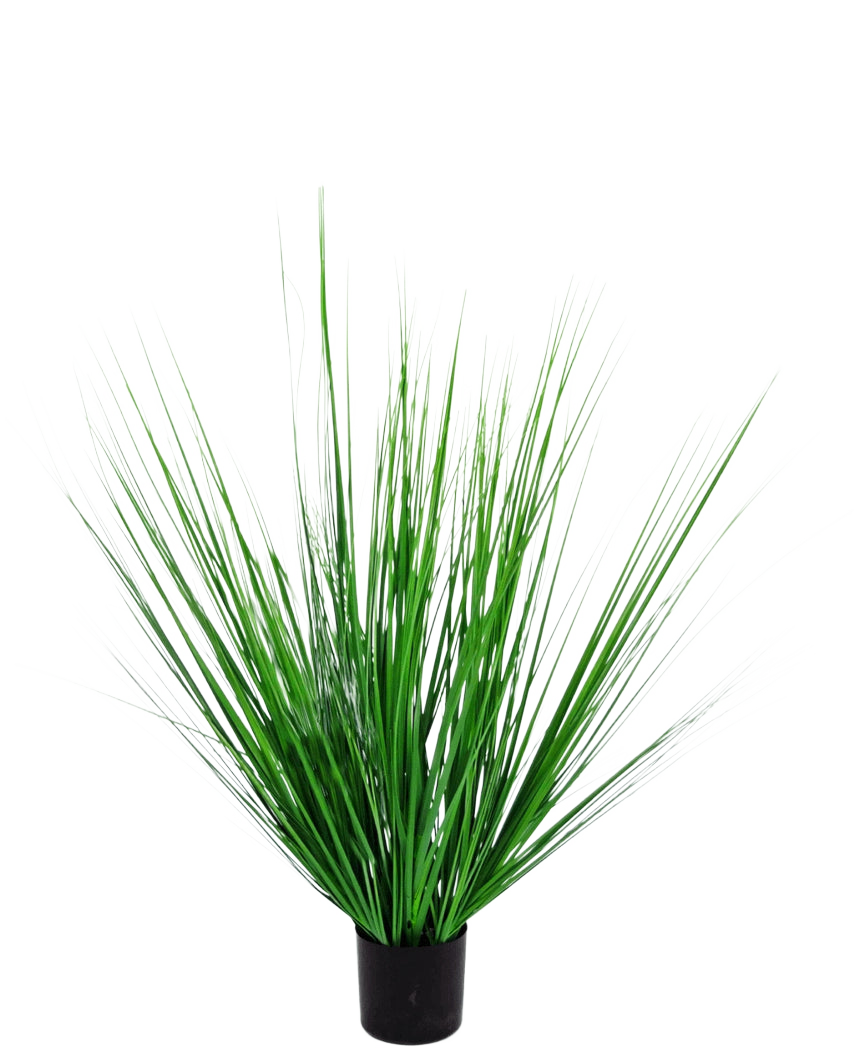 Le Gazon Artificiel Oignon 90 cm ignifuge est un gazon artificiel en pot avec de longues et fines lames vertes dans un récipient noir compact, sur un fond blanc uni.