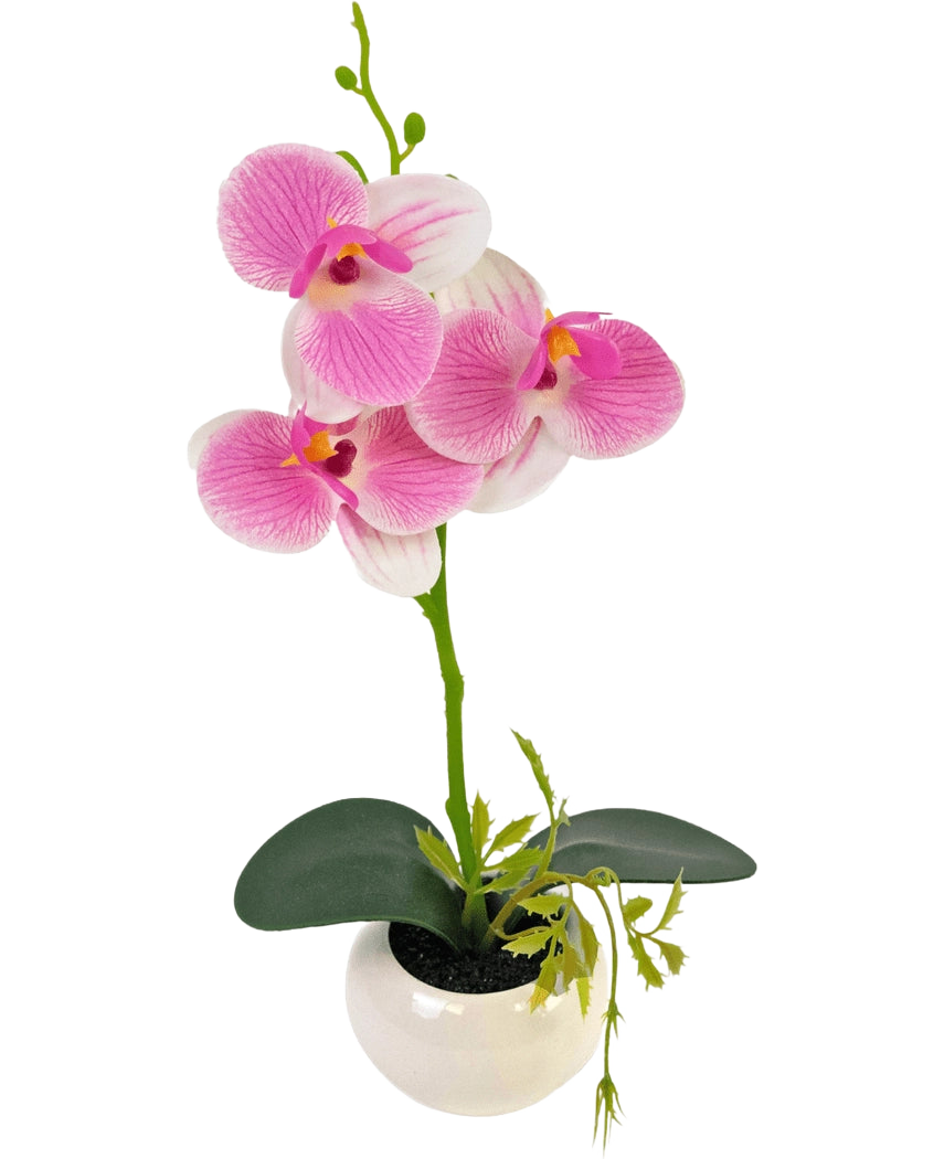 L'orchidée artificielle 28 cm blanc/rose en pot présente une tige d'orchidée verte avec des fleurs roses et blanches éclatantes et des feuilles vertes, le tout disposé dans un pot en céramique blanche.