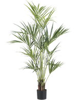 La Plante Artificielle Kentia Palm 190 cm ignifuge possède de longues feuilles vertes fines et plusieurs tiges fines dans un simple pot noir, sur un fond uni blanc.