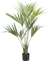 Le palmier artificiel Kentia 135 cm est un grand palmier artificiel vert avec de longues feuilles fines et de multiples troncs, en pot sur un fond blanc uni.