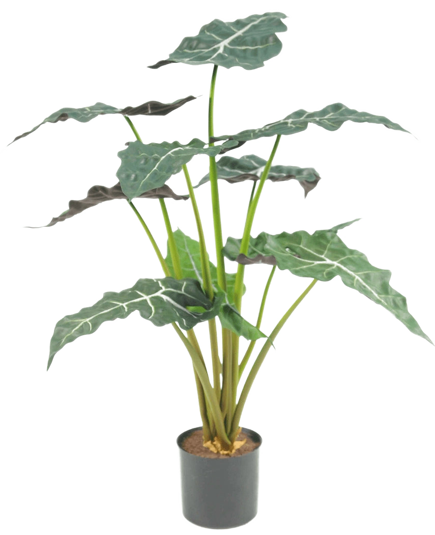 La plante artificielle Alocasia UV 67 cm est une plante artificielle en pot avec de grandes feuilles vert foncé en forme de flèche et des veines blanches frappantes, représentées sur un fond blanc uni.