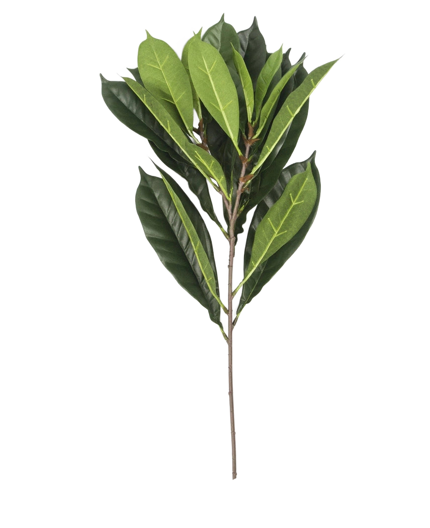 La Feuille Artificielle Cyathistipula 63 cm ignifuge possède une seule branche avec de multiples feuilles vertes allongées de différentes nuances sur une tige fine brune, sur un fond blanc.