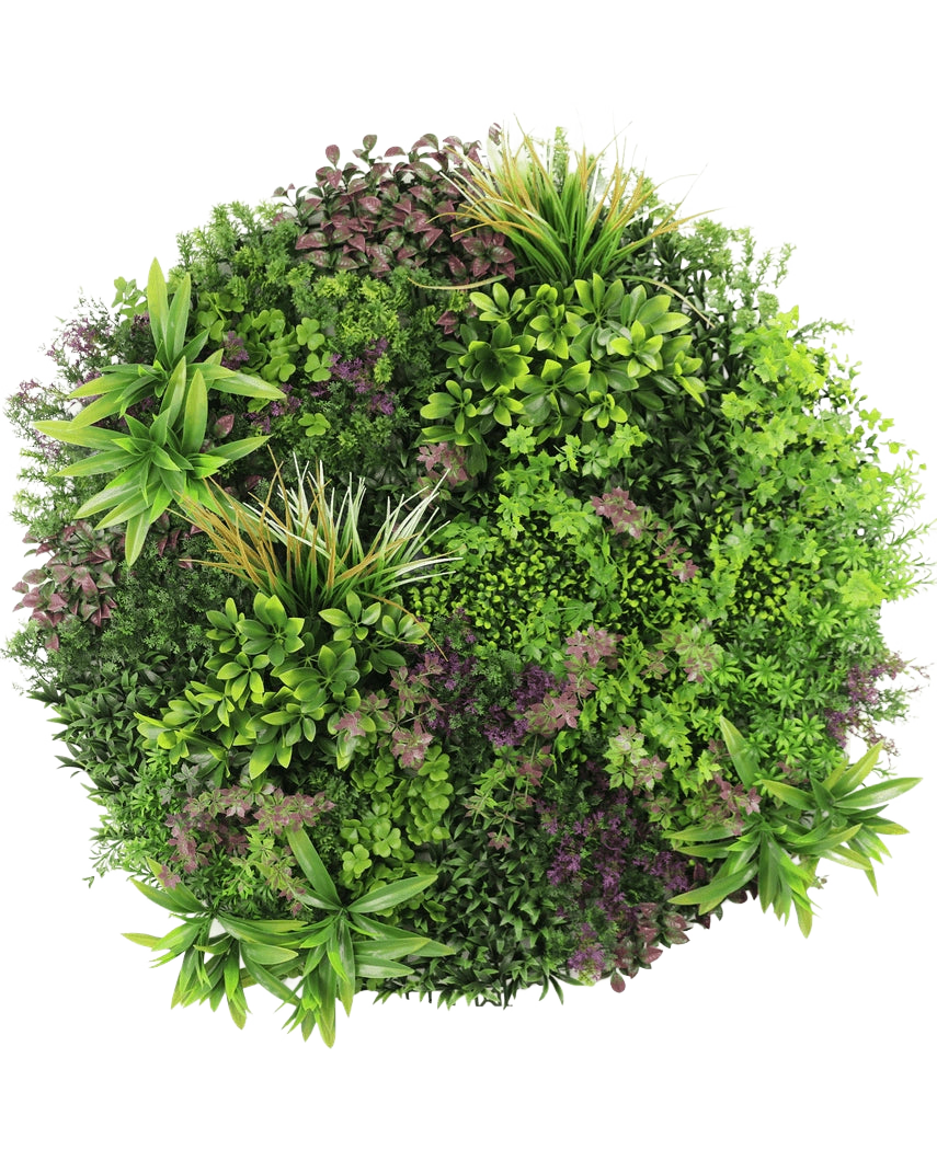 Une vue de dessus de la haie artificielle sur cadre noir Ø100 cm montre un affichage luxuriant et dense de plantes à feuilles vertes et violettes disposées selon un motif circulaire sur un fond blanc.