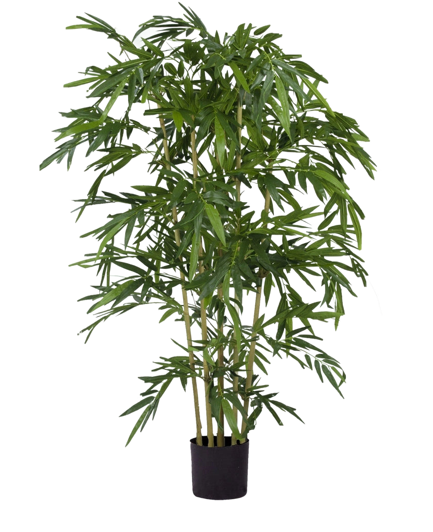 Le Bambou Artificiel 180 cm ignifuge est un grand bambou artificiel avec de fines feuilles vertes et plusieurs tiges fines dans un petit pot noir, représenté sur un fond blanc uni.