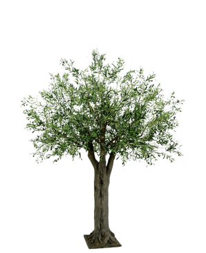 L'olivier géant artificiel avec olives de 250 cm a un tronc épais et texturé et des feuilles vertes denses et fines et apporte le luxe méditerranéen sans entretien sur un fond blanc simple.