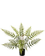 La plante de fougère artificielle de 68 cm a de longues feuilles de fougère vert clair et est présentée dans un pot noir compact, présenté ici sur un fond blanc uni.