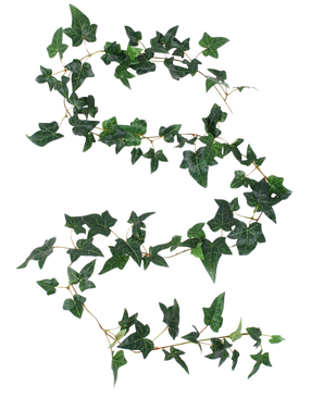 La guirlande de lierre Kunst Boston vert 180 cm UV possède une longue vrille de lierre avec des feuilles vertes à cinq lobes et de fines tiges en forme de S fluide sur un fond blanc.