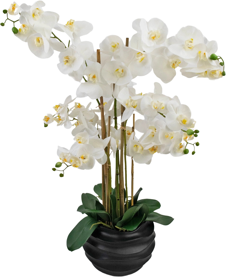 L'Orchidée artificielle Real Touch 85 cm blanche présente de grandes fleurs d'orchidée blanches au cœur jaune et aux feuilles vertes brillantes, joliment disposées dans un pot en céramique noire.
