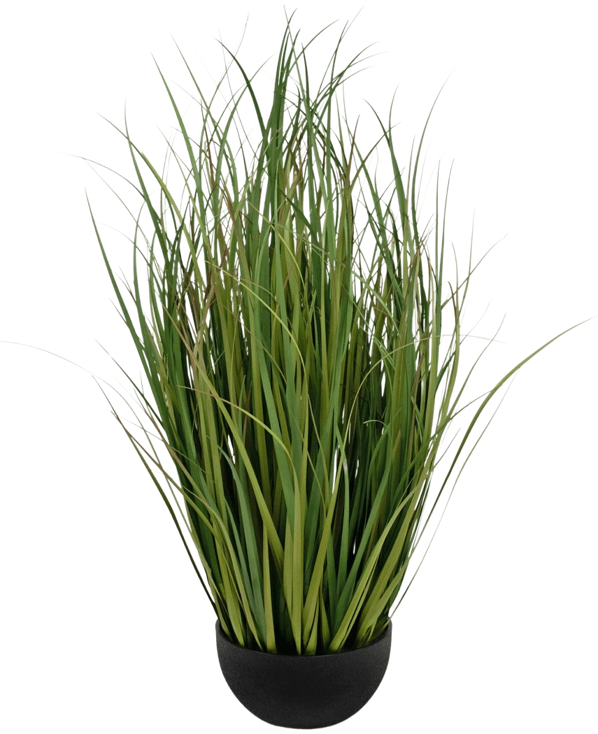 Gazon artificiel Dogtail oignon Grass Bran 80 cm, ignifuge, dans un petit pot noir.