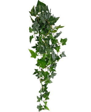 La plante artificielle suspendue Lierre Boston 100 cm vert a des feuilles pointues vertes luxuriantes sur de longues et fines tiges, créant un effet de lierre traînant réaliste sur un fond blanc uni.