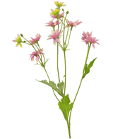 La Fleur Artificielle Madelief 55 cm rose est une fleur artificielle avec une seule tige verte avec plusieurs branches, chacune décorée de délicates fleurs ressemblant à des marguerites roses et blanches et de feuilles vertes dentelées, représentées sur un fond blanc.