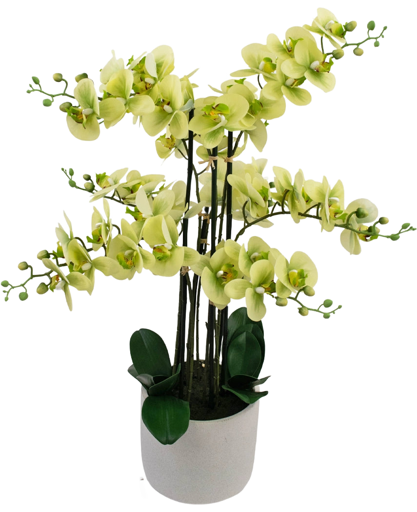 L'Orchidée artificielle Real Touch 81 cm verte présente des fleurs d'orchidée vert clair avec des feuilles vert foncé dans un pot gris clair, sur un fond blanc.
