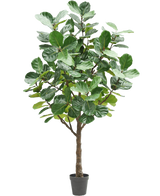 L'arbre à tabac artificiel de 270 cm est un grand arbre artificiel avec de grandes feuilles vertes luxuriantes et un tronc marron robuste, dans un petit pot noir sur un fond blanc uni.