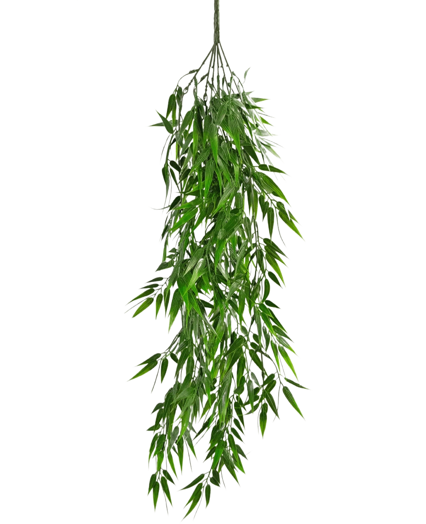 La plante artificielle suspendue Bambou UV 80 cm possède de longues feuilles vertes fines qui pendent gracieusement jusqu'à la tige, sur un fond blanc uni.