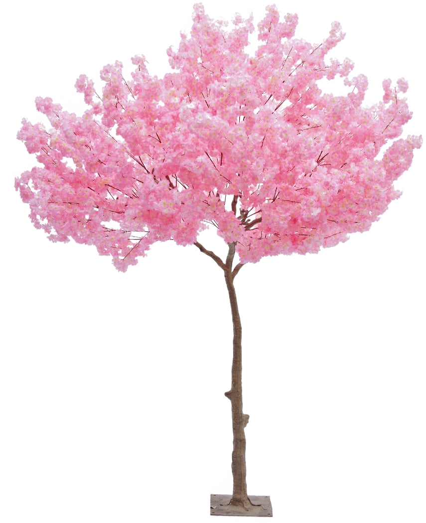 L'arbre artificiel Cherry Blossom Pink 270 cm est un grand sapin de Noël artificiel avec un tronc brun élancé et des grappes denses de fleurs roses éclatantes sur un fond blanc uni.