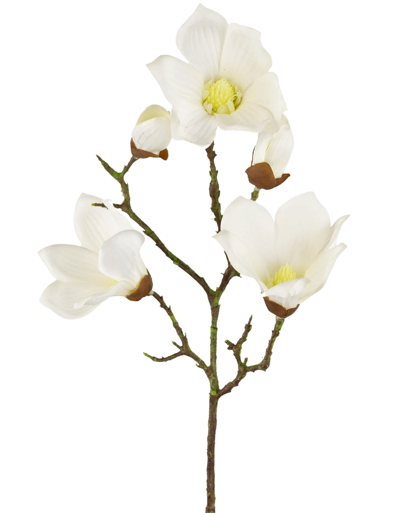 Une branche artificielle de Magnolia Real Touch White de 72 cm montre plusieurs fleurs et bourgeons de magnolia blancs avec des centres jaunes, sur un fond blanc uni.