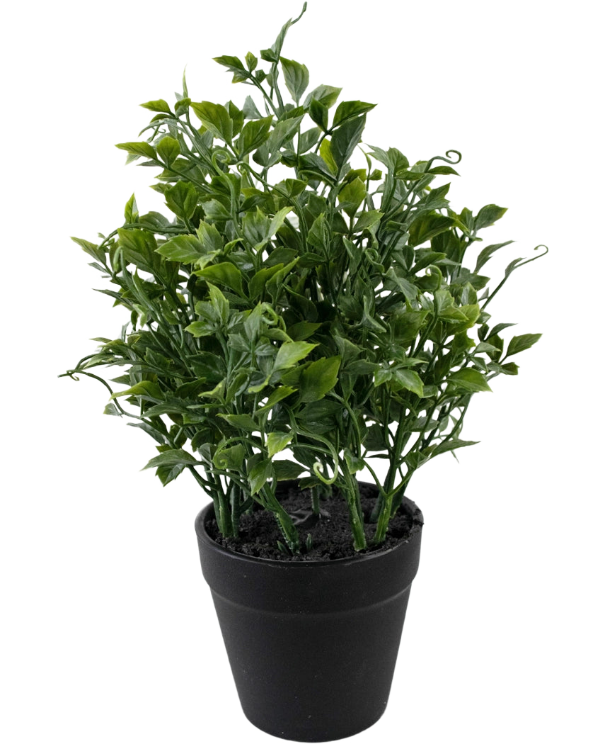 La plante artificielle Raisin 25 cm est une plante artificielle verte et luxuriante avec des feuilles denses et pointues dans un pot noir sur un fond blanc uni.
