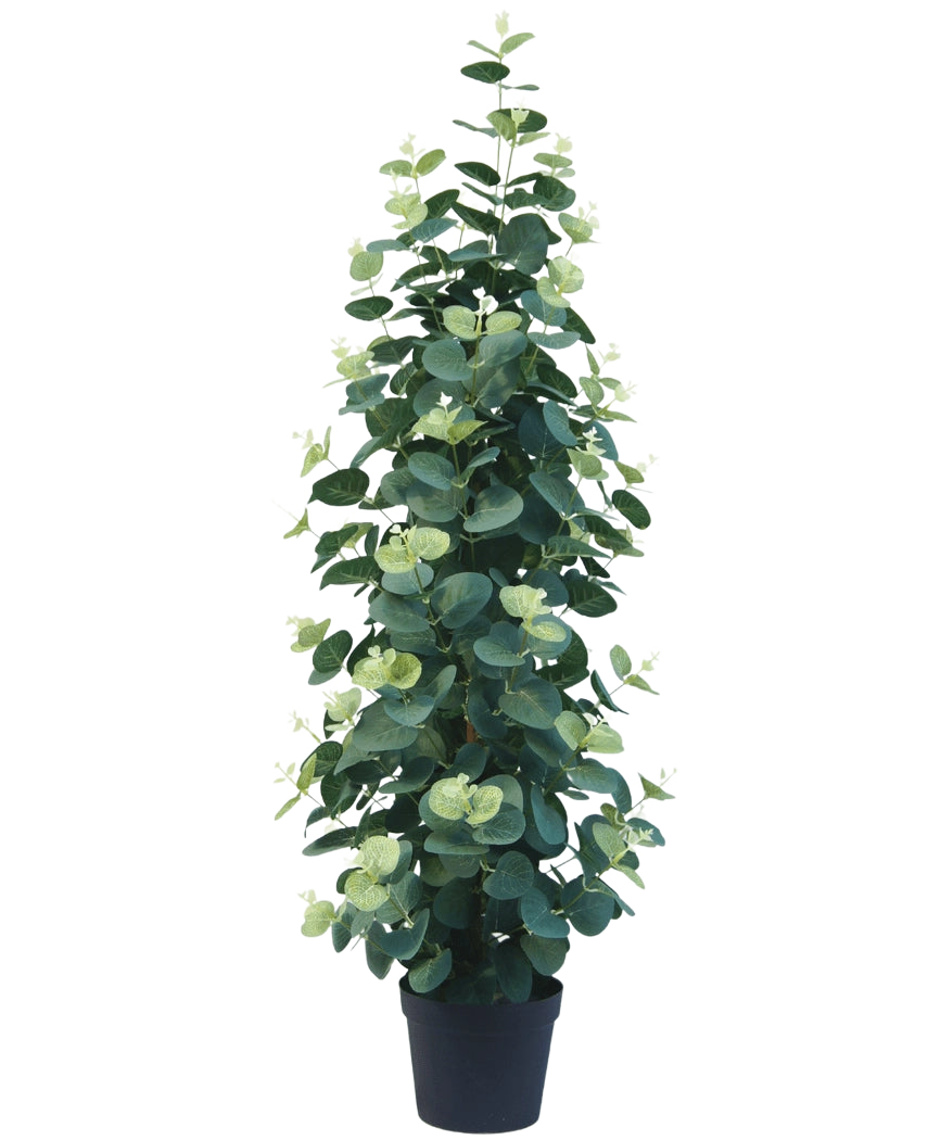 La plante artificielle Eucalyptus 76 cm est une plante d'eucalyptus artificielle haute et luxuriante avec des feuilles vertes rondes dans un pot noir, sur un fond blanc uni.