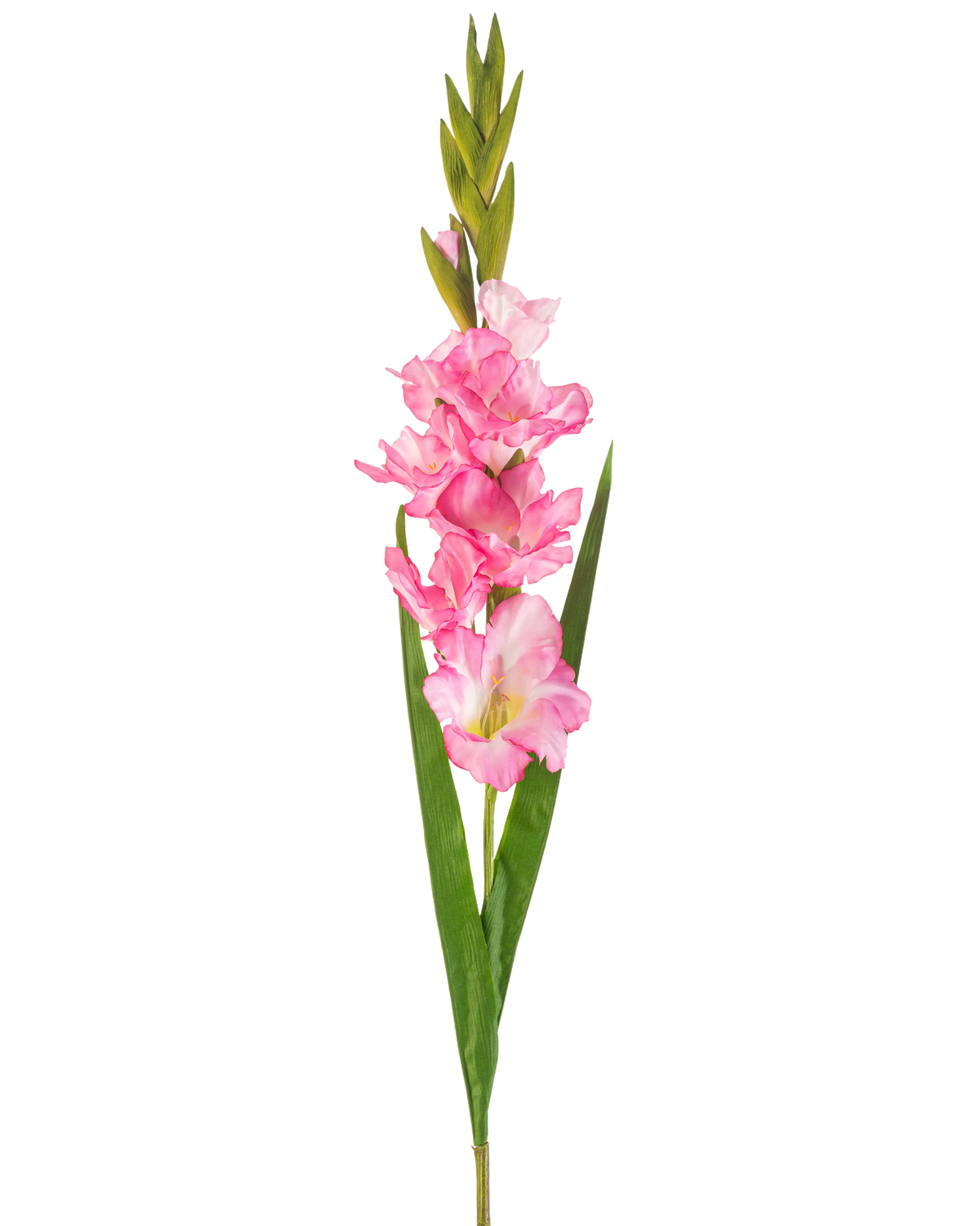 Une seule fleur artificielle Glaïeul de 93 cm rose vif avec plusieurs fleurs et bourgeons rose vif, associés à de longues feuilles vertes, sur fond blanc.