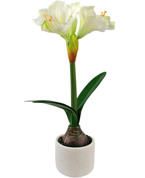 La fleur artificielle Amaryllis Real Touch blanche 48 cm a une fleur d'amaryllis blanche réaliste avec des feuilles vertes et un bulbe visible dans un petit pot blanc, parfait pour ajouter de l'élégance à n'importe quelle pièce.