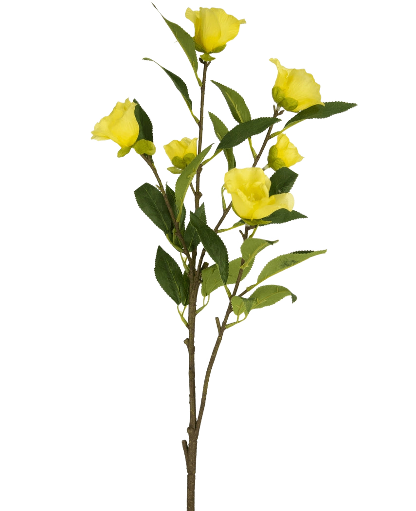 La fleur artificielle Camellia 80 cm jaune a une seule tige avec plusieurs fleurs de camélia artificielles jaune vif et des feuilles vertes, représentées sur un fond blanc uni.